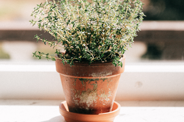Front Garden Ideas For Small Spaces